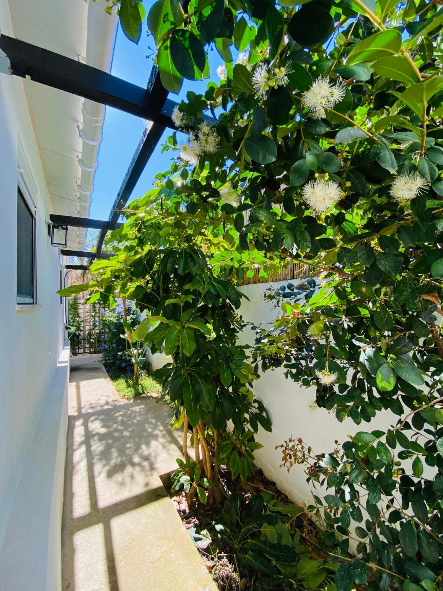 Gem Of Viso Villa เซตุบาล ภายนอก รูปภาพ